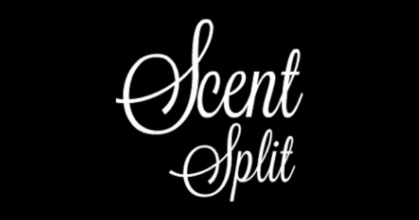 scentsplit-review-the-fashion-hub